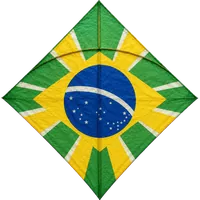 Estampado de Brasil: la verde-amarela.